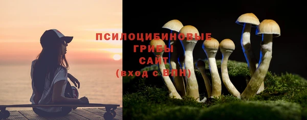 сатива Елабуга