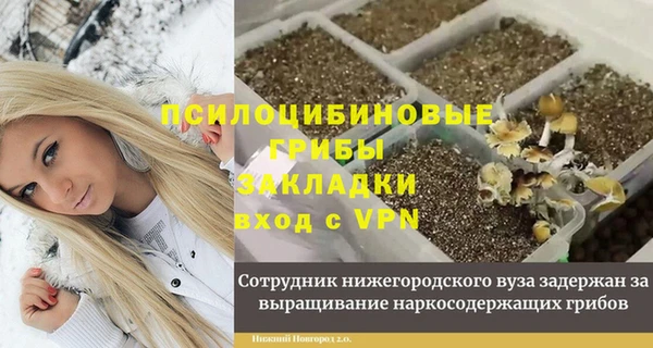 стаф Елизово