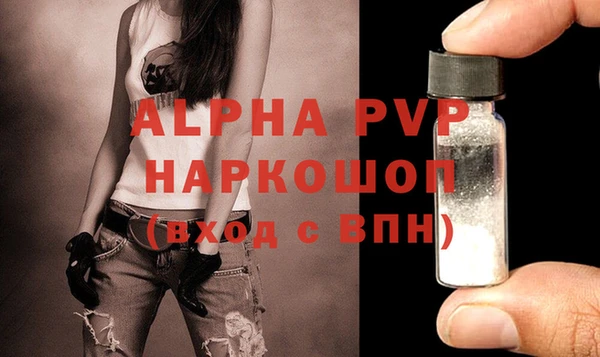 крисы Осташков