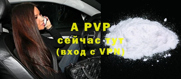 крисы Осташков